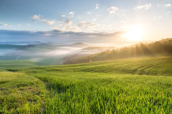 Nouseva aurinko Toscanassa — kuvapankkivalokuva