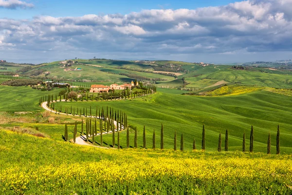 Curva toscana na Toscana — Fotografia de Stock