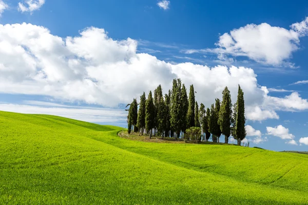 Hermoso día soleado —  Fotos de Stock