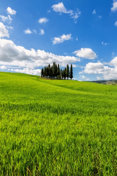 Beautiful sunny day — Stock Photo, Image