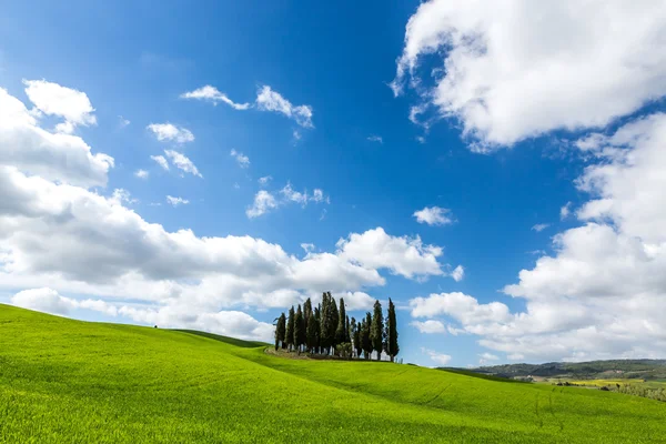 Sunny day in Tuscany — Stock Photo, Image