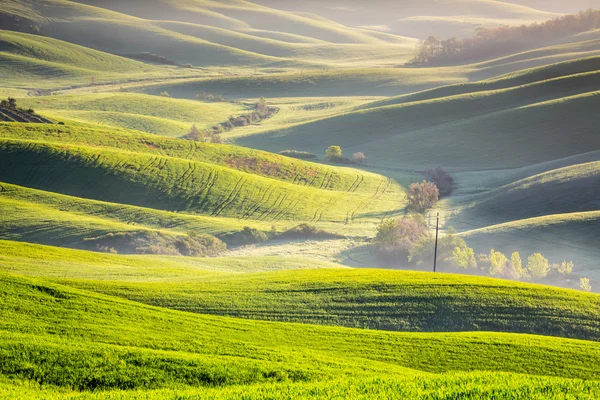 Toscaanse landschap in de buurt van Siena — Stockfoto