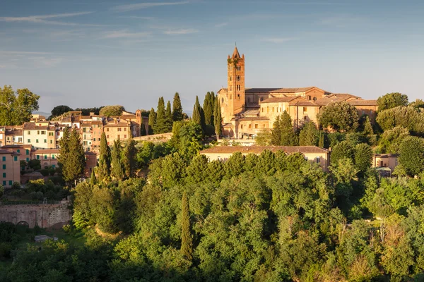 Stadtbild von Siena, Toskana, Italien — Stockfoto