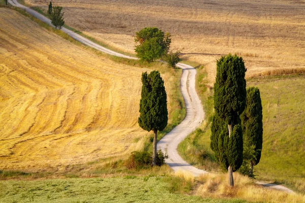 Straße mit Zypressen in der Toskana — Stockfoto