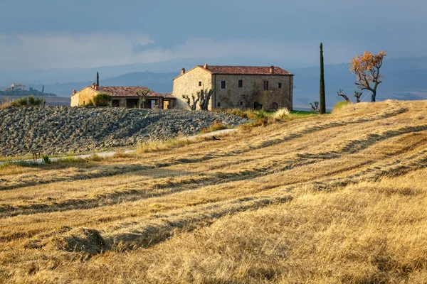 Campos de cereais em Toscana — Fotografia de Stock