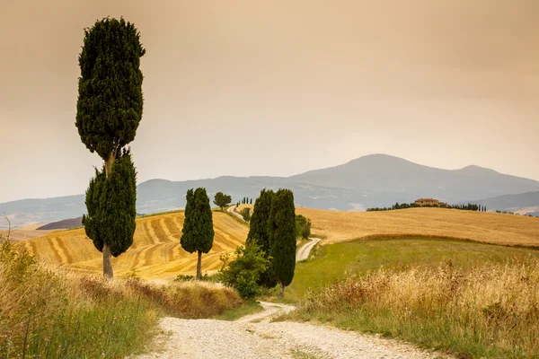 Land in der Nähe von Pienza, Toskana, Italien — Stockfoto