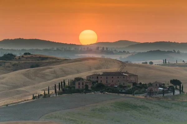 Campos de grano en Toscana —  Fotos de Stock