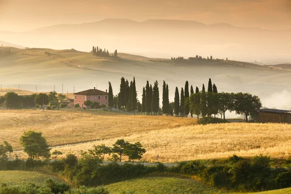 Vacker sommarmorgon i Toscana — Stockfoto