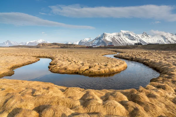 Meandro di ruscello vicino alla spiaggia Fredvang, isola di Moskenesoy, Lofoten — Foto Stock