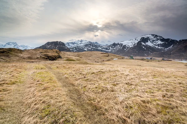 Maa Fredvangin rannan ympärillä, Lofoten saaret, Norja — kuvapankkivalokuva