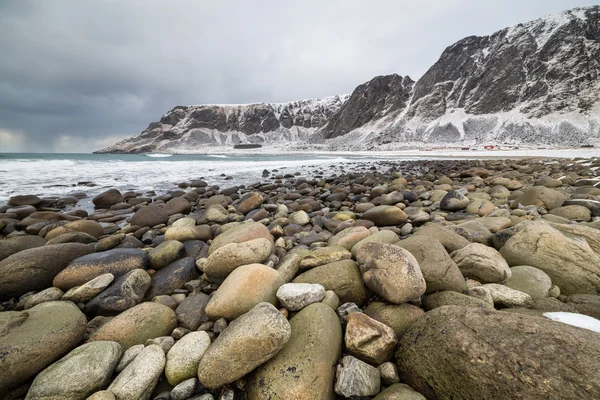 Pole hornin na Unstad pláži, Vestvagoy island, Lofoty island — Stock fotografie