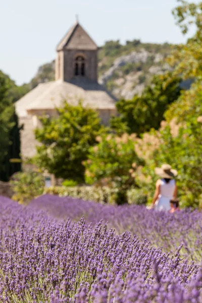 Abbene de Senanque, Provence, France — стоковое фото