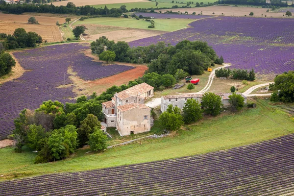 Provence çiftlik, Provence, Fransa — Stok fotoğraf