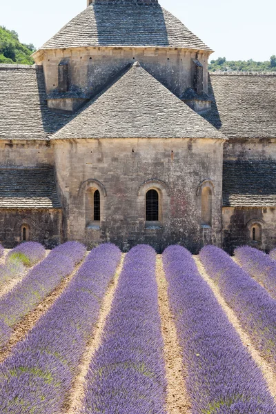 Abbaye de Senanque yakın köy Gordes, Provence, Fransa — Stok fotoğraf
