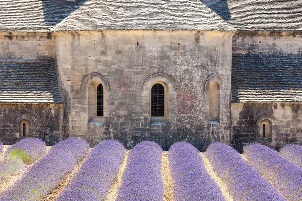 Abbaye de Senanque nära byn Gordes, Provence, Frankrike — Stockfoto