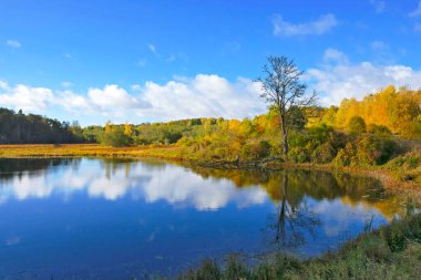 Golden Autumn Hills Aydınlık bir sabahta Sakin Göl 'e yansıdı