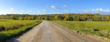 Güneşli Kırsal Toprak Yol Açık Arazi 'den Renkli Sonbahar Orman Tepelerine Gidiyor