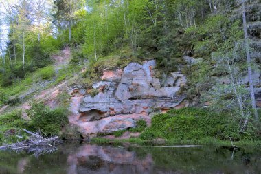 Güneşli bir bahar sabahı Küçük Mağara ve Çam Ağaçlarıyla Kum Taşı Uçurumu Orman Vadisi 'ndeki Doğal Manzara