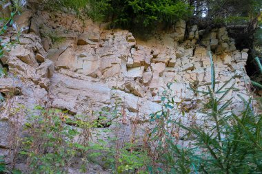 Sessiz Yaz Ormanı 'nda Orman tepe örtüsünün altında Kırık Katmanlı Güneş Işıklı Dolomite Kaya Çıkıntısı