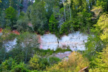 Yeşil tepe örtüsü ile Yaz Ormanı 'ndaki Uzun Beyaz Kum Taşı Uçurumu dramatik jeolojik katmanlar ve Doğal Yaban Hayatı vurguluyor