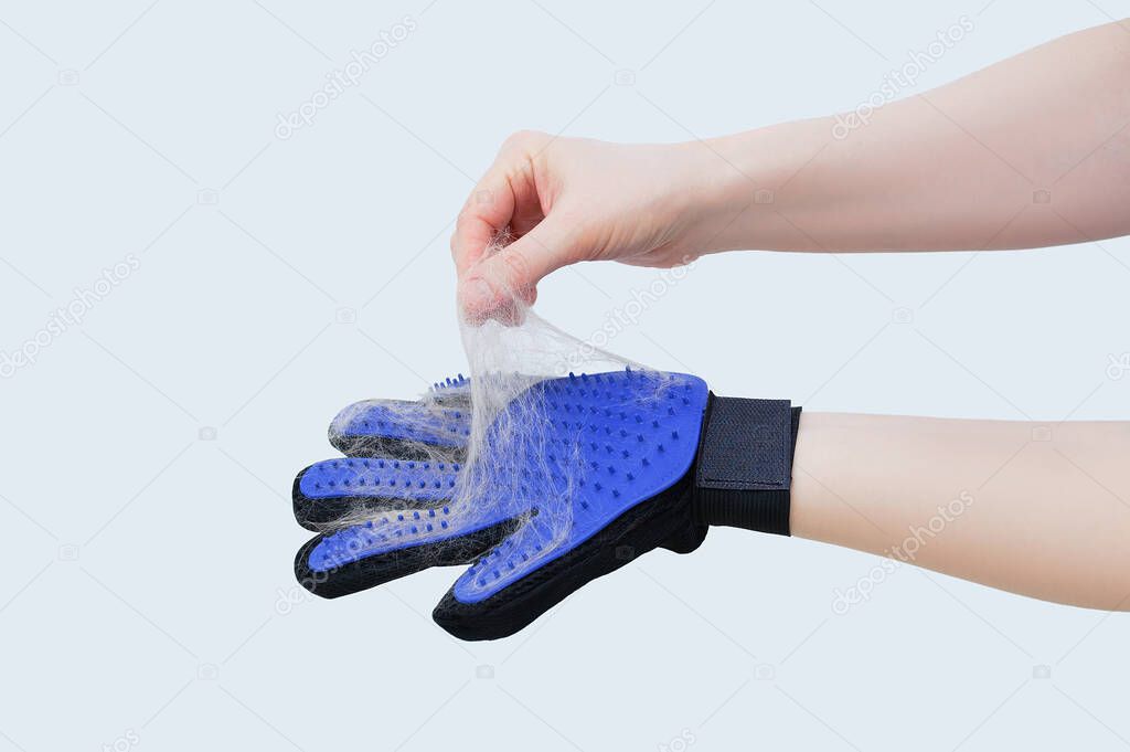 Blue rubber glove for combing pet hair on the hand of a Caucasian woman. White background.