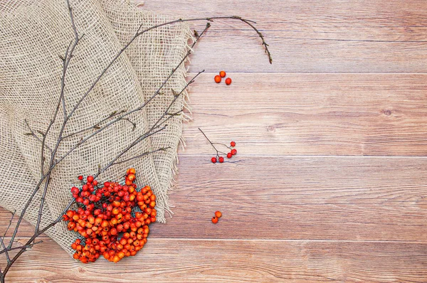 Bunch Red Rowan Branches Brown Mat Wooden Planks Background — Stock Photo, Image