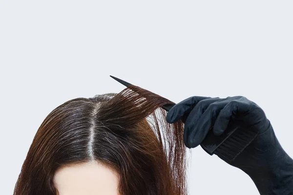 Women Gray Haired Head Lock Gray Hair Comb Gray Background — Stock Photo, Image