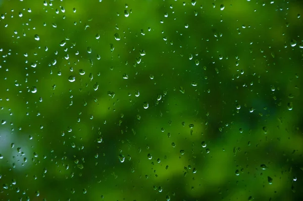 Regendruppels Glas Een Achtergrond Van Groen Gebladerte Tijdens Zomerdag Zachte — Stockfoto