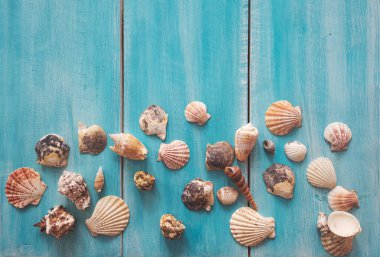 Mavi ahşap zemin üzerinde birçok güzel deniz kabuğu, üst manzara