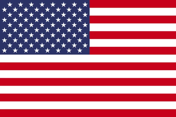 Amerikanische Flagge — Stockvektor