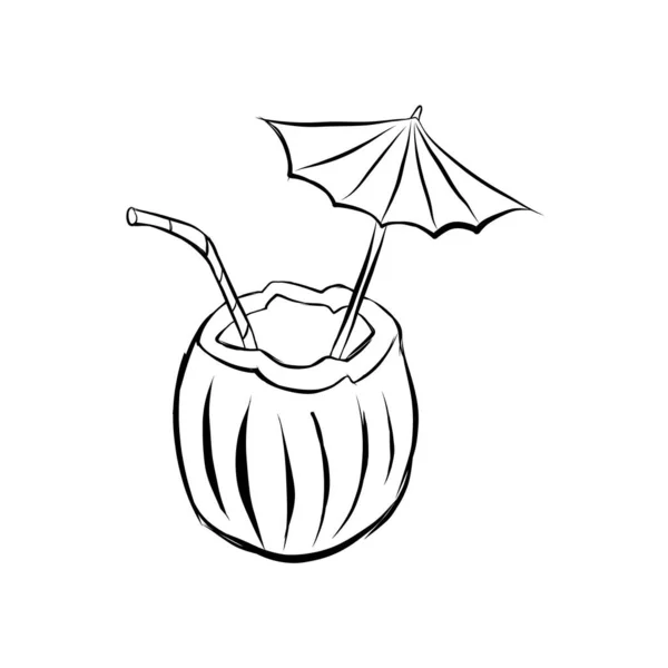Kokosový koktejl ručně kreslit vektorové ilustrace na bílém — Stockový vektor
