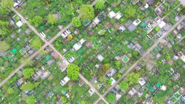 Das Video Beginnt Mit Einem Friedhof Und Die Kamera Geht — Stockvideo