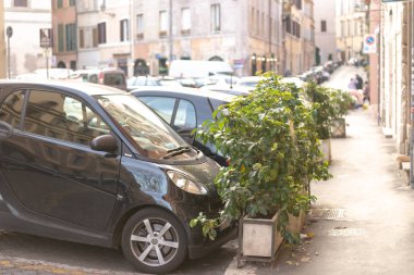 Roma. İtalya. 2020 baharında. Bitkilerle dolu küvetlerin yardımıyla park alanının ayrılması.