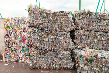 Moskova. - Rusya. 2020 sonbaharında. Baskıdan sonra plastik şişe balyaları. Moskova bölgesindeki çöp fabrikalarının tasnif edilmesi.