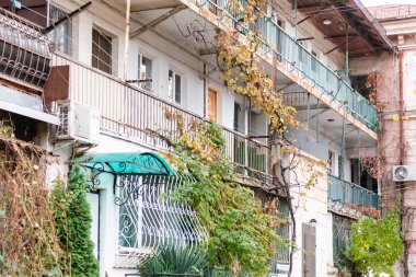 Sivastopol avlusunda ortak balkonlar. Sarmaşıklarla korunmuş avlular. Sivastopol 'da güzel bir sonbahar.