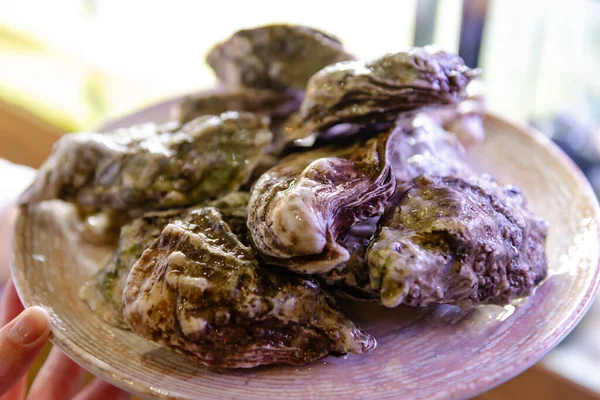 Crimean Oysters Closed Shells Plate Oysters Close Ups Restaurant You — Stock fotografie