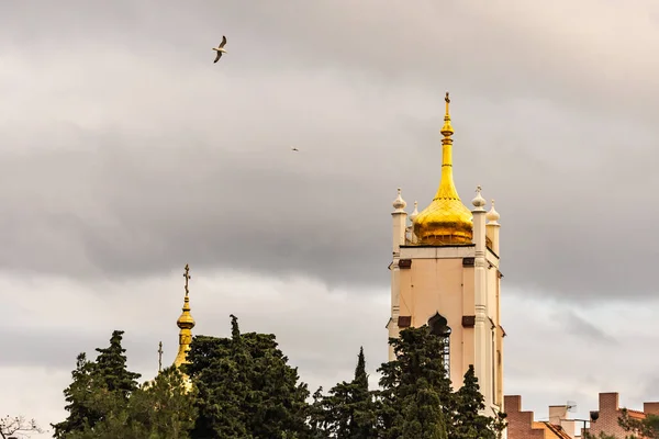 Церква Святого Миколая Александра Римська Купол Старої Церкви Оточений Чагарниками — стокове фото