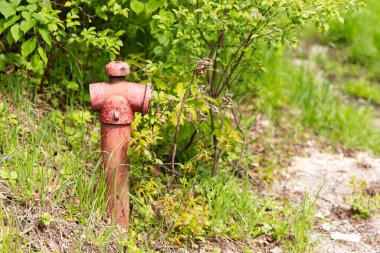 Eski kırmızı yangın musluğu. Köy caddesinin kenarında hırpalanmış bir yangın musluğu duruyor. Krakow yakınlarındaki Polonya 'da bahar.