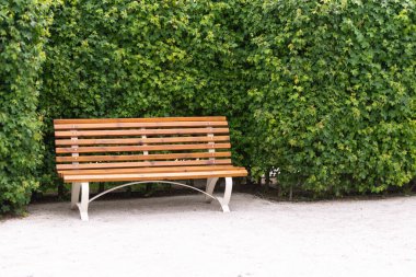 Bratislava Castle Parkı. Beyaz taş parkı kaplamış. Bahçedeki yeşil çalılar, genç ağaçlar ve heykeller. Bahçede bankı olan bir köşe.