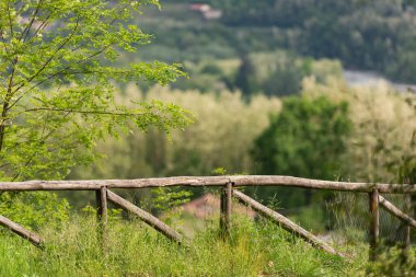 Eski ağaç gövdelerinden yapılmış dağlarda. Toskana dağlarında kırsal yollar.