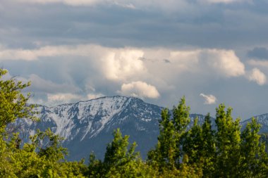 Avusturya 'daki dağlar ve ormanlar. Karla kaplı tepeleri ve bulanık ağaçların önündeki bulutları olan dağlar.