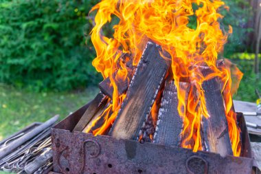 Parlak bir günde parlak ateş yaprakları. Şenlik ateşi doruk noktasında. Bol odunlu ızgara. Kömürle değil, yakacak odunuyla eti kızartmadan önce ızgarayı hazırla..