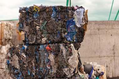 Plastik sebze ve meyve kutuları bir çöp fabrikasında sıkışıyor. Plastik atık türüne göre dağıtılır ve taşınmadan önce küp içine sıkıştırılır.