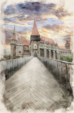 Hunyad Şatosu veya Hunedoara Şatosu, Romanya 'nın Transilvanya bölgesinin Hunedoara kentinde bulunan bir Gotik-Rönesans şatosu.