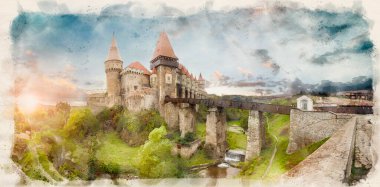 Hunyad Şatosu veya Hunedoara Şatosu, Romanya 'nın Transilvanya bölgesinin Hunedoara kentinde bulunan bir Gotik-Rönesans şatosu.