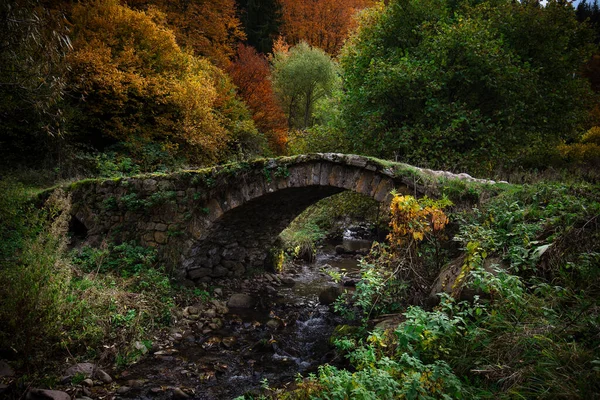 Antiguo Puente Romano Montaña Rhodope Cerca Fotinovo Bulgaria Bosque Paisaje —  Fotos de Stock