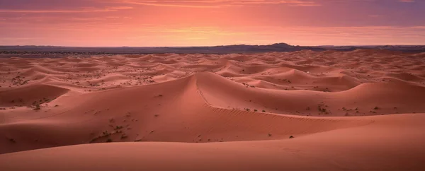 Panorama Dans Désert Lever Soleil Dunes Erg Chebbi Dans Désert — Photo