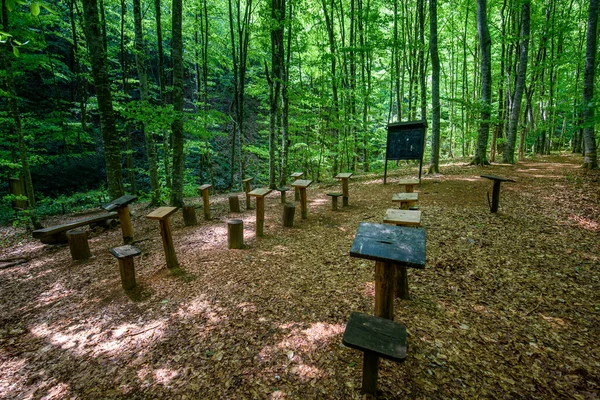 Empty Outdoor Classroom Forest Black Classic Chalk Board School Desks — Stock Photo, Image