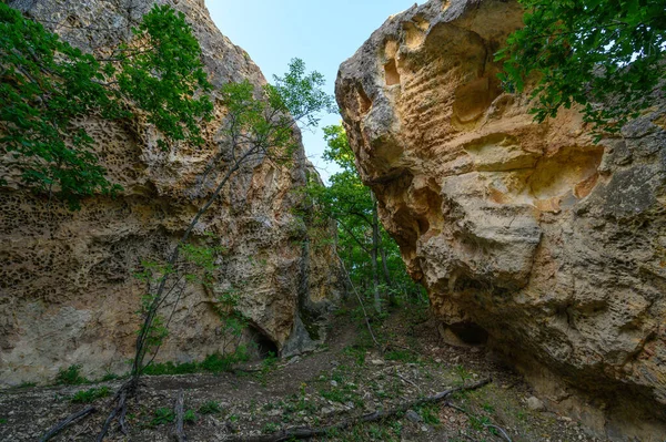 色雷斯的墓地或古老的避难所和圣地 在保加利亚的伊万洛夫格勒附近被称为聋子石 — 图库照片