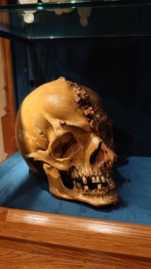 Krakow, Polonya - 18.10.2025: Czartoryski Ulusal Müzesi 'nde veya Czartoryski Prensleri Sarayı' nda. Eserler, heykeller ve heykeller.